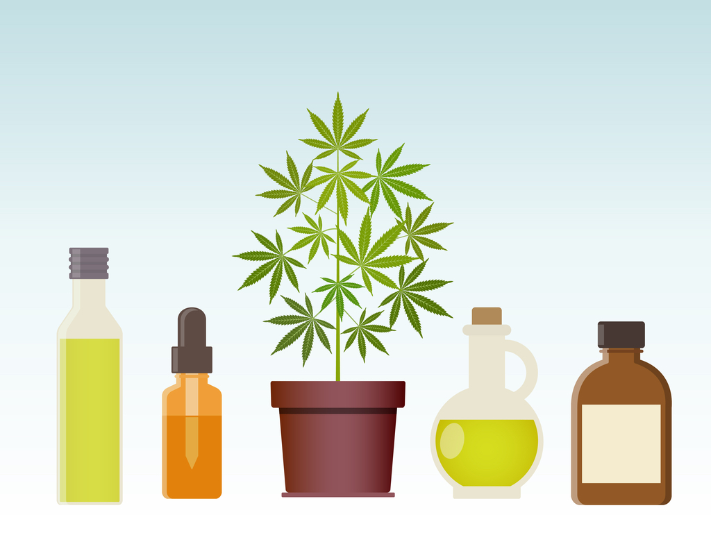 Le cannabis comestible : un effet de plus longue durée et moins prévisible qu’avec l’inhalation