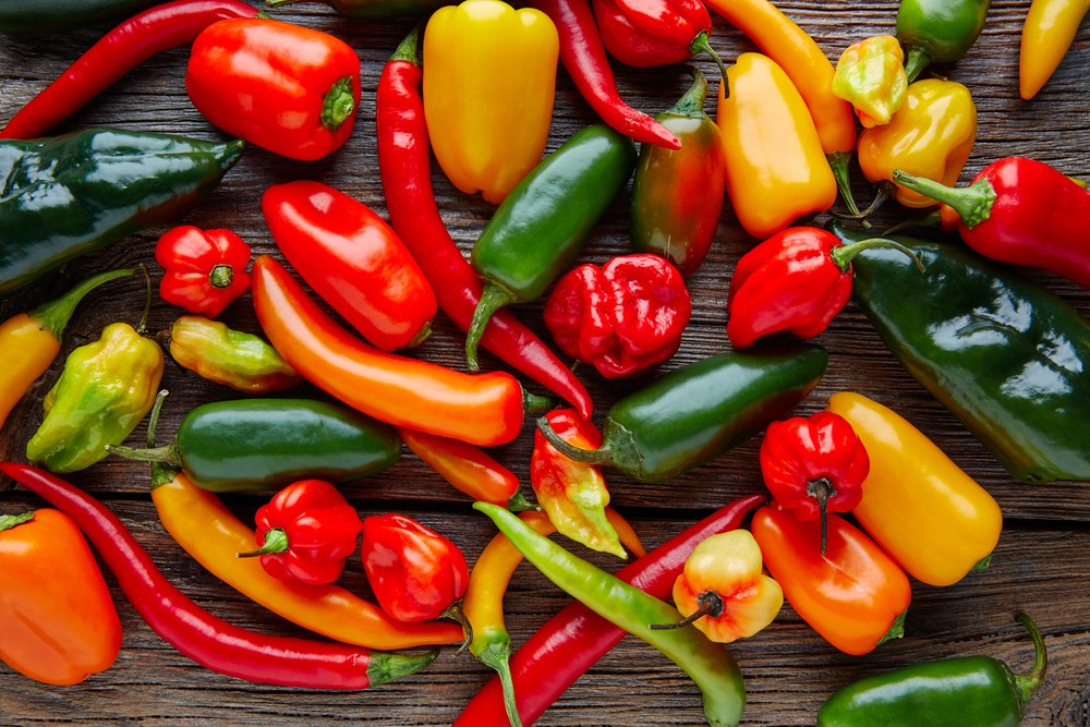 Spicing up the prevention of cardiovascular disease with chili peppers