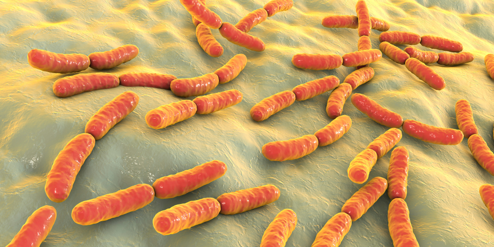 A new metabolite derived from the microbiota linked to cardiovascular disease
