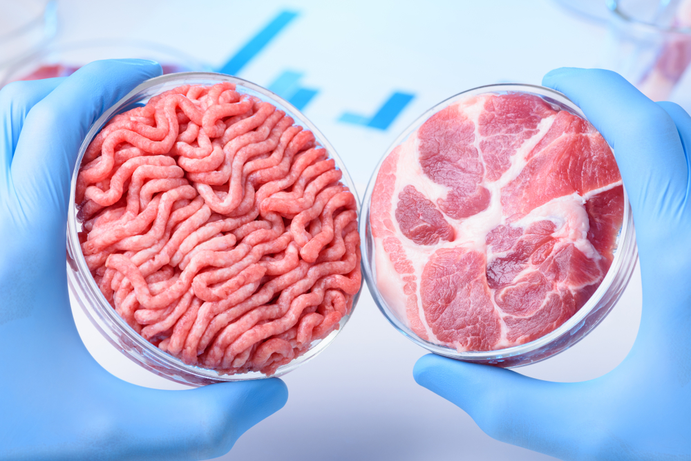 La viande cultivée bientôt dans nos assiettes ?