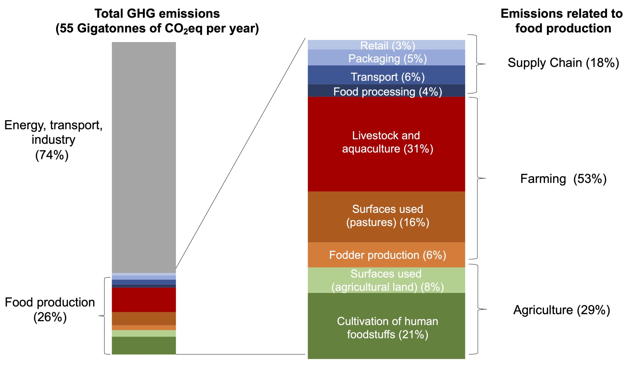 Chart: The Carbon Footprint of the Food Supply Chain