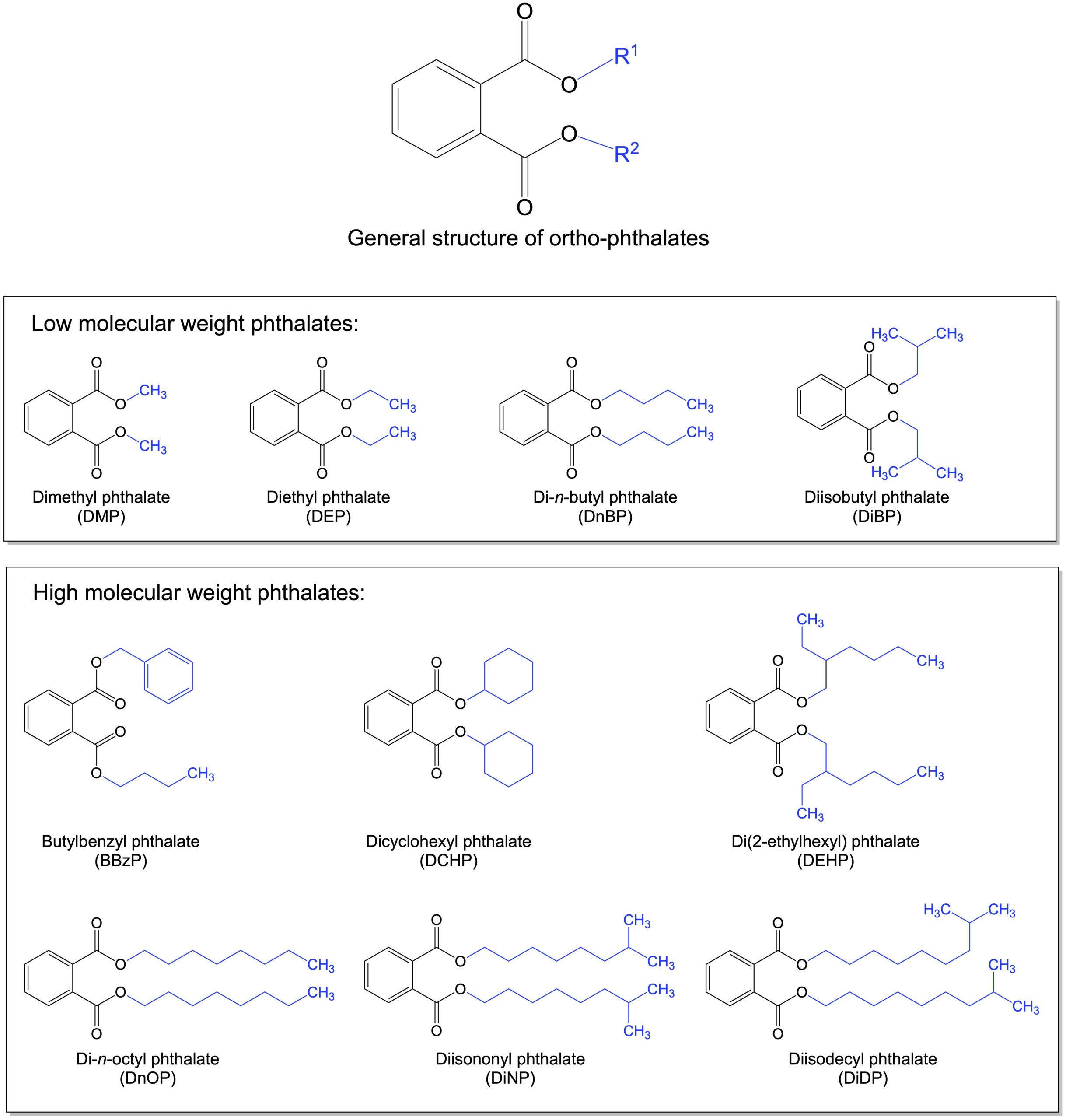 Phthalates Molecular Structure Molecular Weight Chemical Structure 