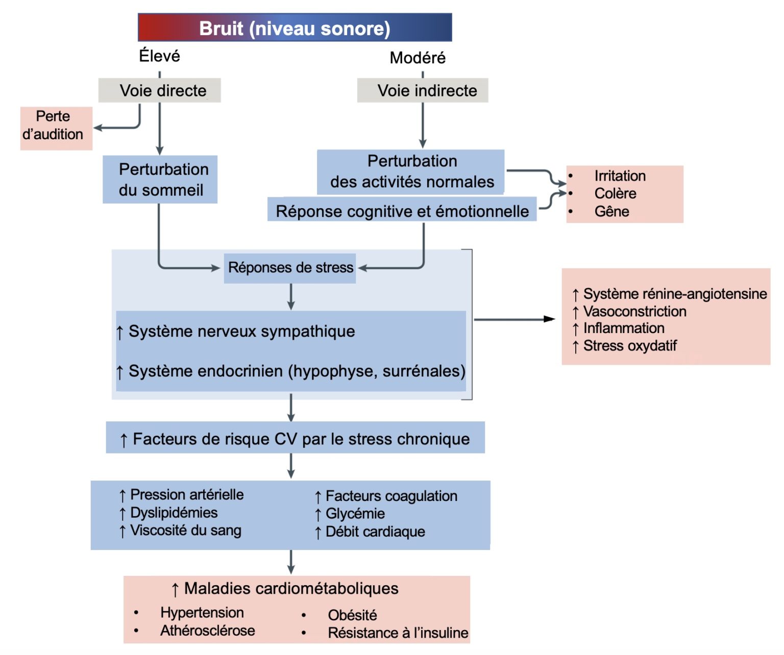 Le bruit, un facteur de risque méconnu de maladies cardiovasculaires ...