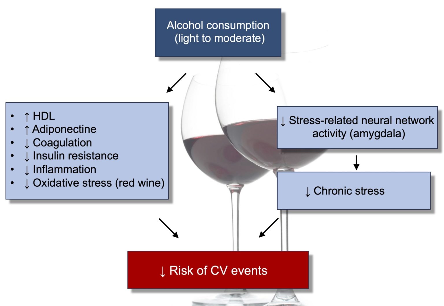Reducing chronic stress contributes to the positive effects of moderate ...